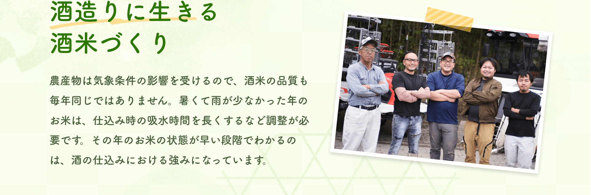 酒造りに生きる酒米づくり｜農産物は気象条件の影響を受けるので、酒米の品質も毎年同じではありません。暑くて雨が少なかった年のお米は、仕込み時の吸水時間を長くするなど調整が必要です。その年のお米の状態が早い段階でわかるのは、酒の仕込みにおける強みになっています。