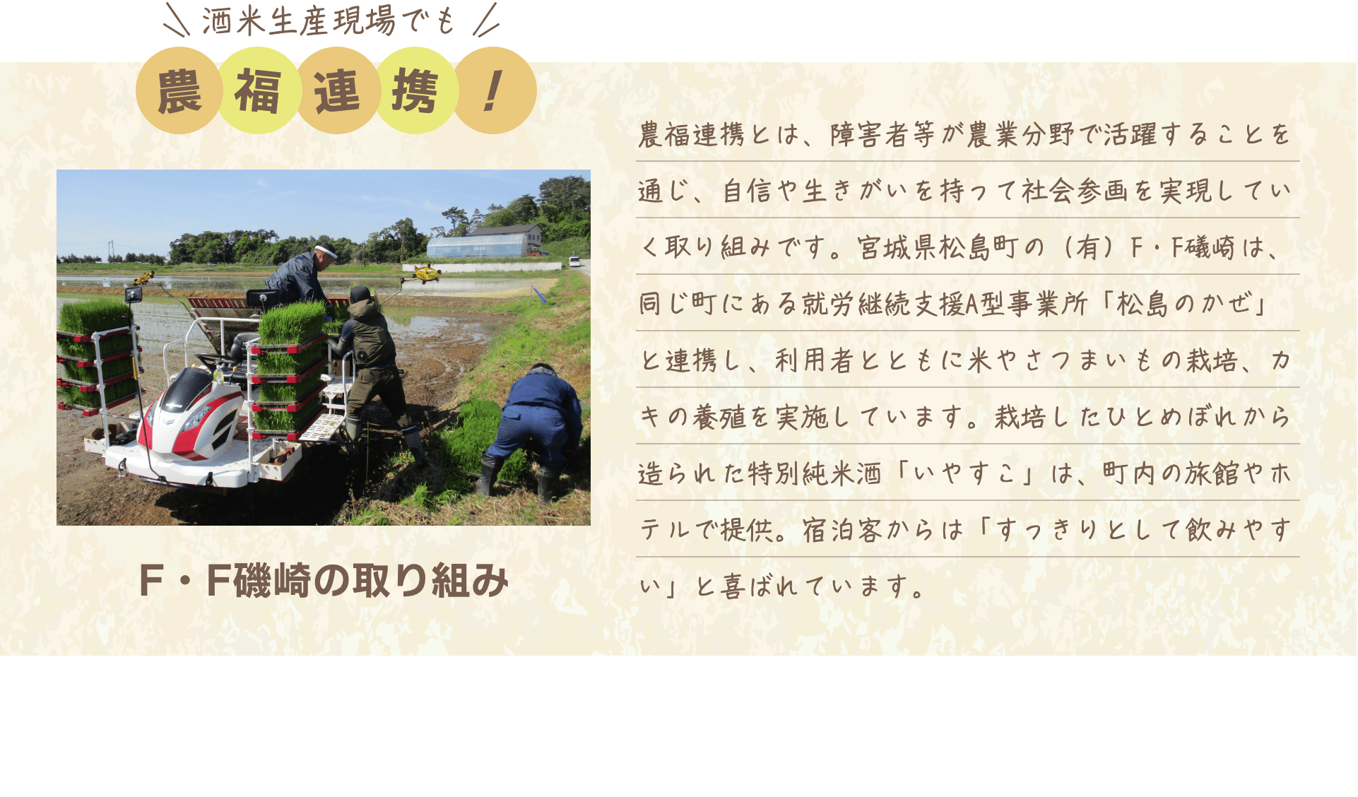 酒米生産現場でも農福連携！｜F・F磯崎の取り組み 農福連携とは、障害者等が農業分野で活躍することを通じ、自信や生きがいを持って社会参画を実現していく取り組みです。宮城県松島町の（有）F・F礒崎は、同じ町にある就労継続支援A型事業所「松島のかぜ」と連携し、利用者とともに米やさつまいもの栽培、カキの養殖を実施しています。栽培したひとめぼれから造られた特別純米酒「いやすこ」は、町内の旅館やホテルで提供。宿泊客からは「すっきりとして飲みやすい」と喜ばれています。