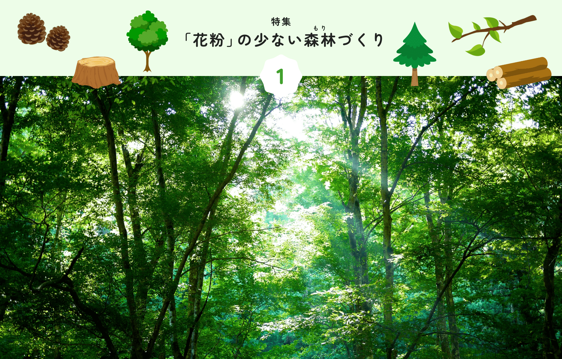 特集 1 「花粉」の少ない森林づくり