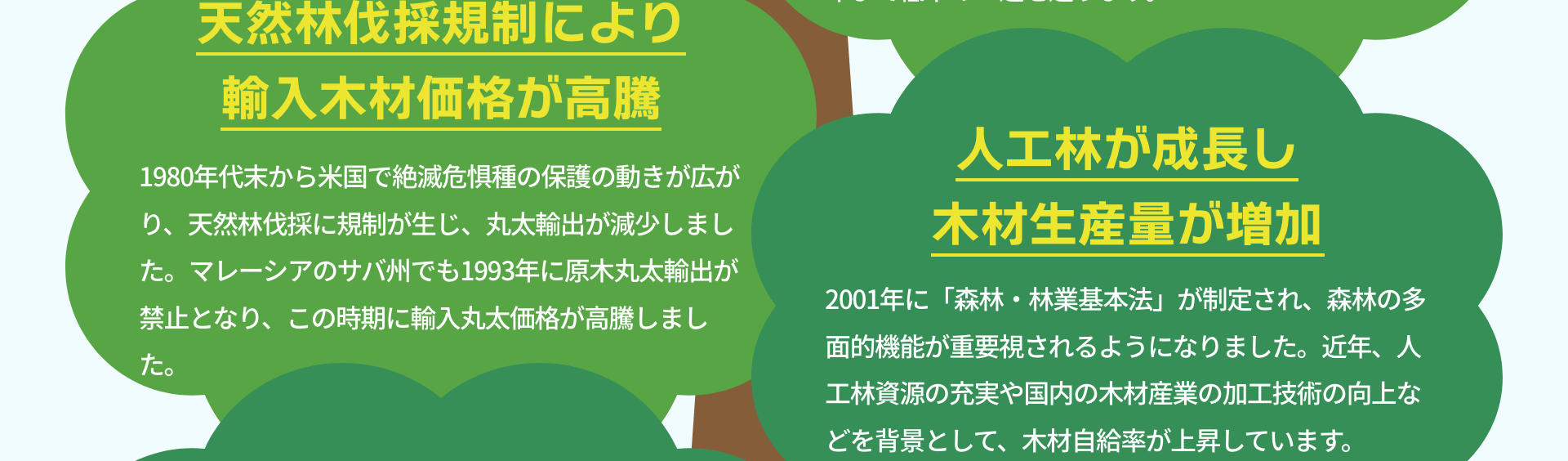 天然林伐採規制により輸入木材価格が高騰　1980年代末から米国で絶滅危惧種の保護の動きが広がり、天然林伐採に規制が生じ、丸太輸出が減少しました。マレーシアのサバ州でも1993年に原木丸太輸出が禁止となり、この時期に輸入丸太価格が高騰しました。｜人工林が成長し木材生産量が増加　2001年に「森林・林業基本法」が制定され、森林の多面的機能が重要視されるようになりました。近年、人工林資源の充実や国内の木材産業の加工技術の向上などを背景として、木材自給率が上昇しています。