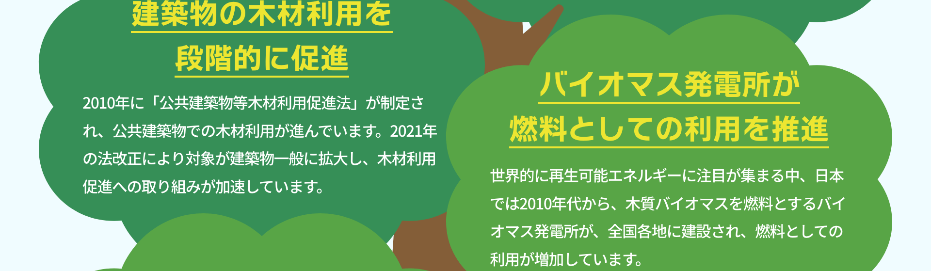建築物の木材利用を段階的に促進　2010年に「公共建築物等木材利用促進法」が制定され、公共建築物での木材利用が進んでいます。2021年の法改正により対象が建築物一般に拡大し、木材利用促進への取り組みが加速しています。｜バイオマス発電所が燃料としての利用を推進　世界的に再生可能エネルギーに注目が集まる中、日本では2010年代から、木質バイオマスを燃料とするバイオマス発電所が、全国各地に建設され、燃料としての利用が増加しています。