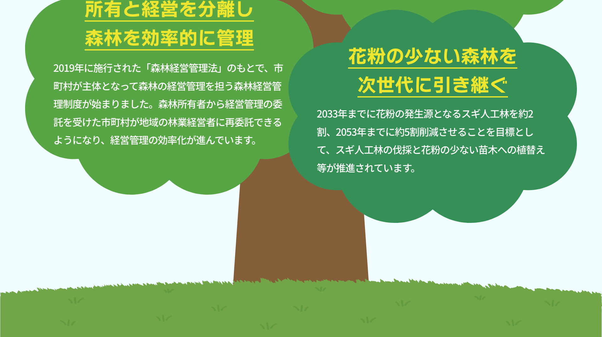 所有と経営を分離し森林を効率的に管理　2019年に施行された「森林経営管理法」のもとで、市町村が主体となって森林の経営管理を担う森林経営管理制度が始まりました。森林所有者から経営管理の委託を受けた市町村が地域の林業経営者に再委託できるようになり、経営管理の効率化が進んでいます。｜花粉の少ない森林を次世代に引き継ぐ　2033年までに花粉の発生源となるスギ人工林を約2割、2053年までに約5割削減させることを目標として、スギ人工林の伐採と花粉の少ない苗木への植替え等が推進されています。