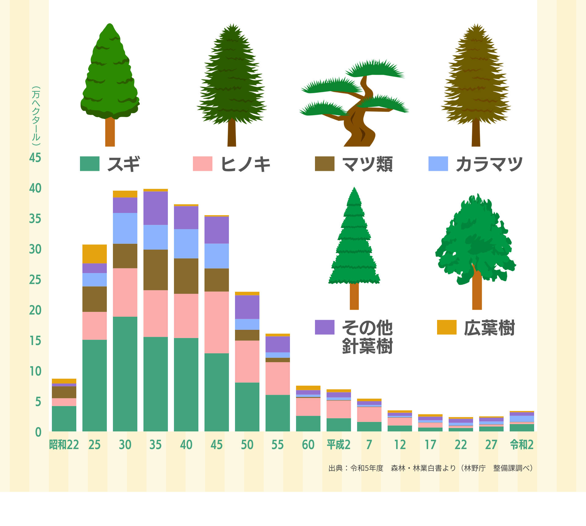 スギ　ヒノキ　マツ類　カラマツ　その他針葉樹　広葉樹　出典：令和5年度　森林・林業白書より（林野庁　整備課調べ）