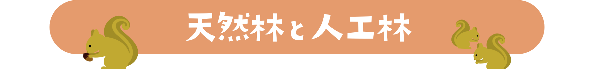 天然林と人工林