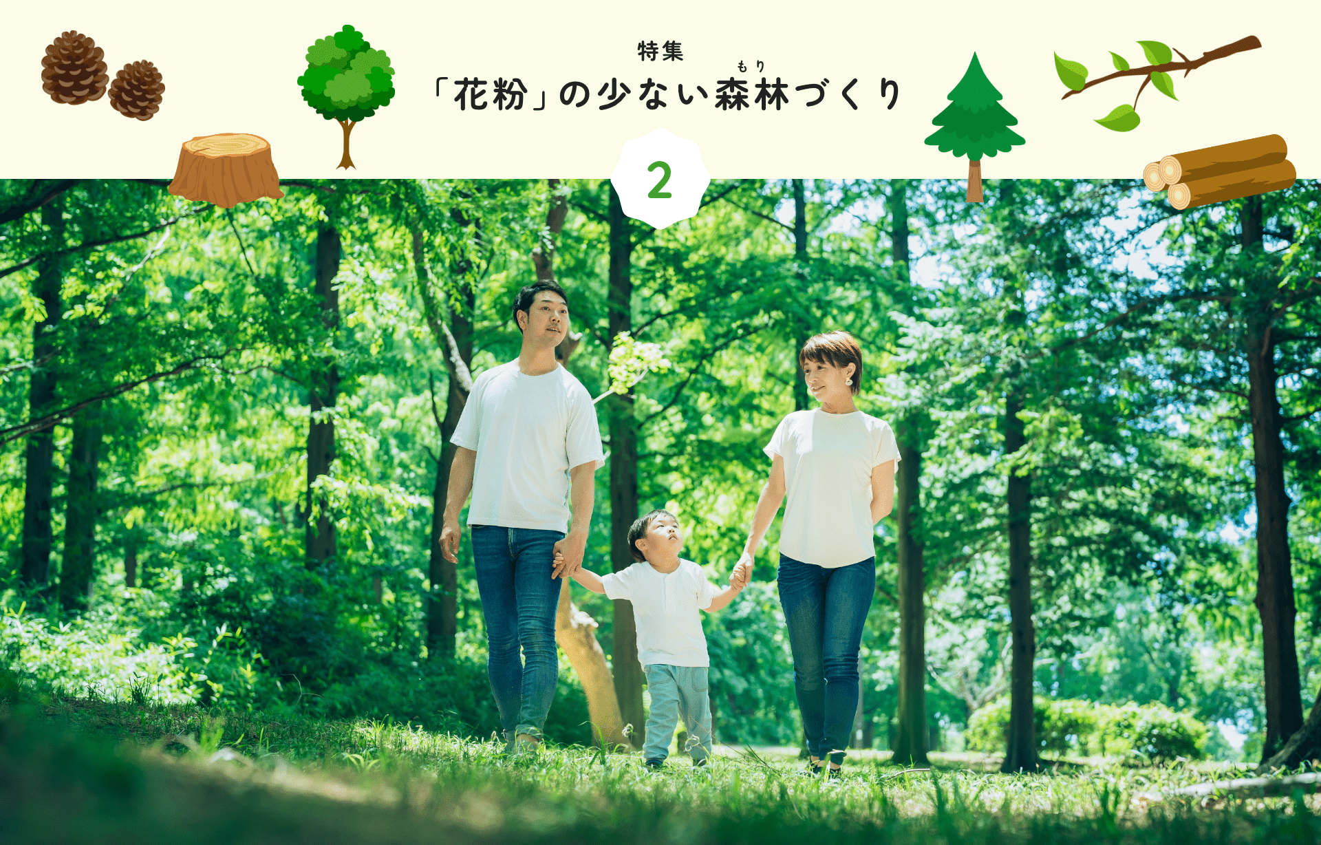 特集 1 「花粉」の少ない森林づくり