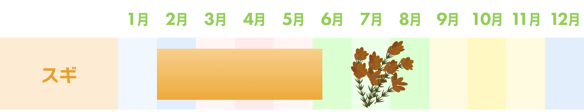 スギ：2月～6月