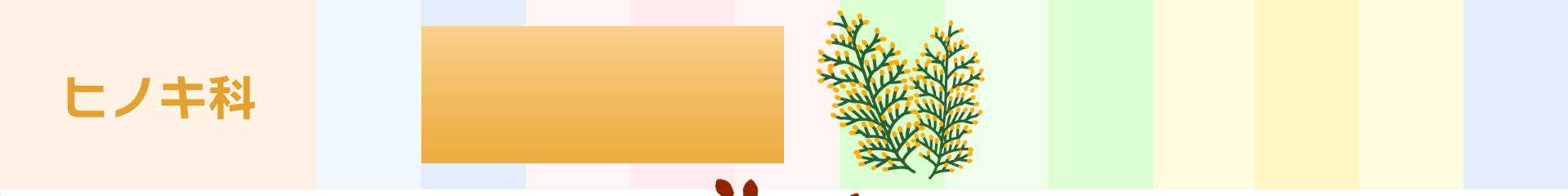 ヒノキ科：2月～5月