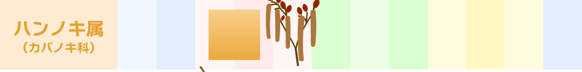 ハンノキ属（カバノキ科）：3月～4月