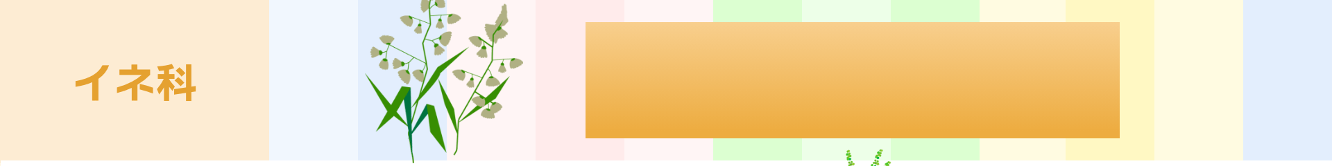 イネ科：4月～10月