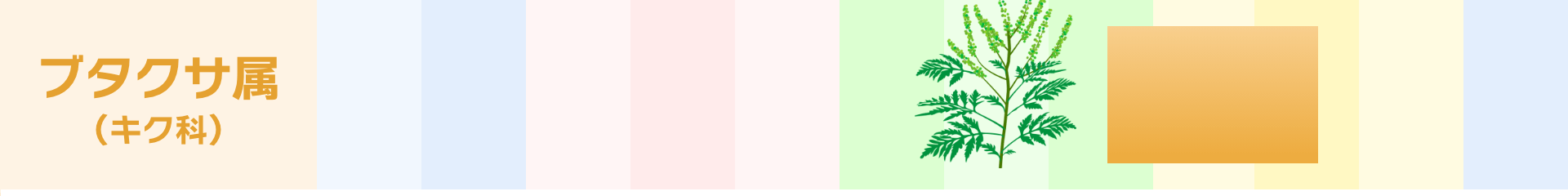 ブタクサ属（キク科）：8月～10月