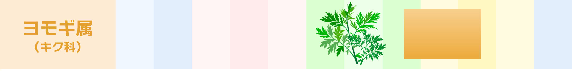 ヨモギ属（キク科）：8月～10月