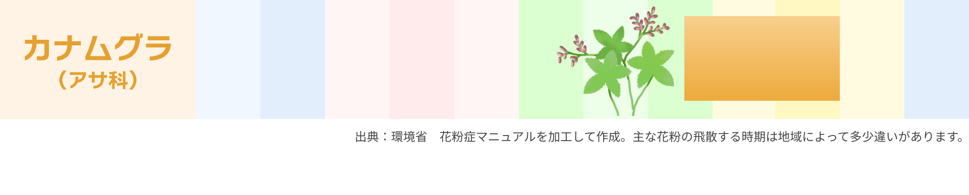 カナムグラ（アサ科）：8月～10月｜出典：環境省　花粉症マニュアルを加工して作成。主な花粉の飛散する時期は地域によって多少違いがあります。