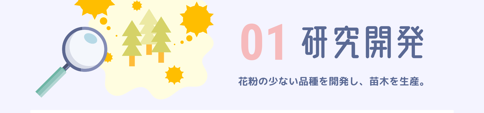 01研究開発　花粉の少ない品種を開発し、苗木を生産。