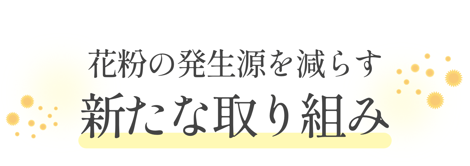 花粉の発生源を減らす　新たな取り組み