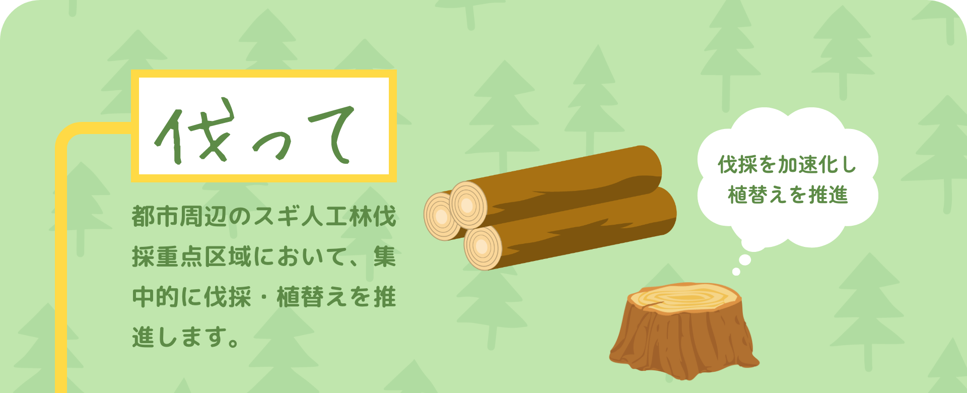 伐って　都市周辺のスギ人工林伐採重点区域において、集中的に伐採・植替えを推進します。　伐採を加速化し植替えを推進