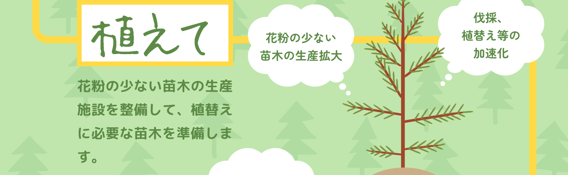 植えて　花粉の少ない苗木の生産施設を整備して、植替えに必要な苗木を準備します。　花粉の少ない苗木の生産拡大　伐採、植替え等の加速化