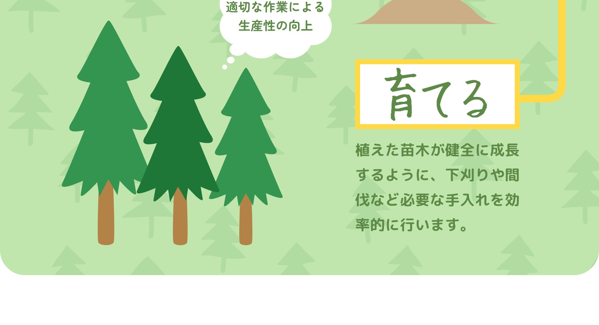 育てる　植えた苗木が健全に成長するように、下刈りや間伐など必要な手入れを効率的に行います。　適切な作業による生産性の向上