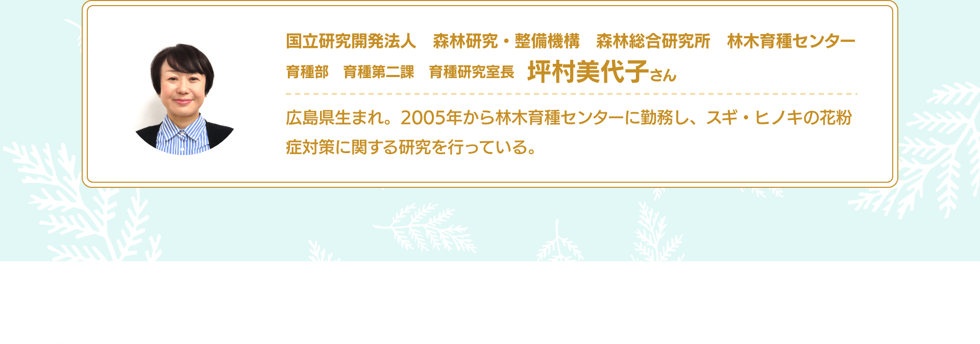 国立研究開発法人　森林研究・整備機構　森林総合研究所　林木育種センター　育種部　育種第二課　育種研究室長　坪村美代子さん　広島県生まれ。2005年から林木育種センターに勤務し、スギ・ヒノキの花粉症対策に関する研究を行っている。