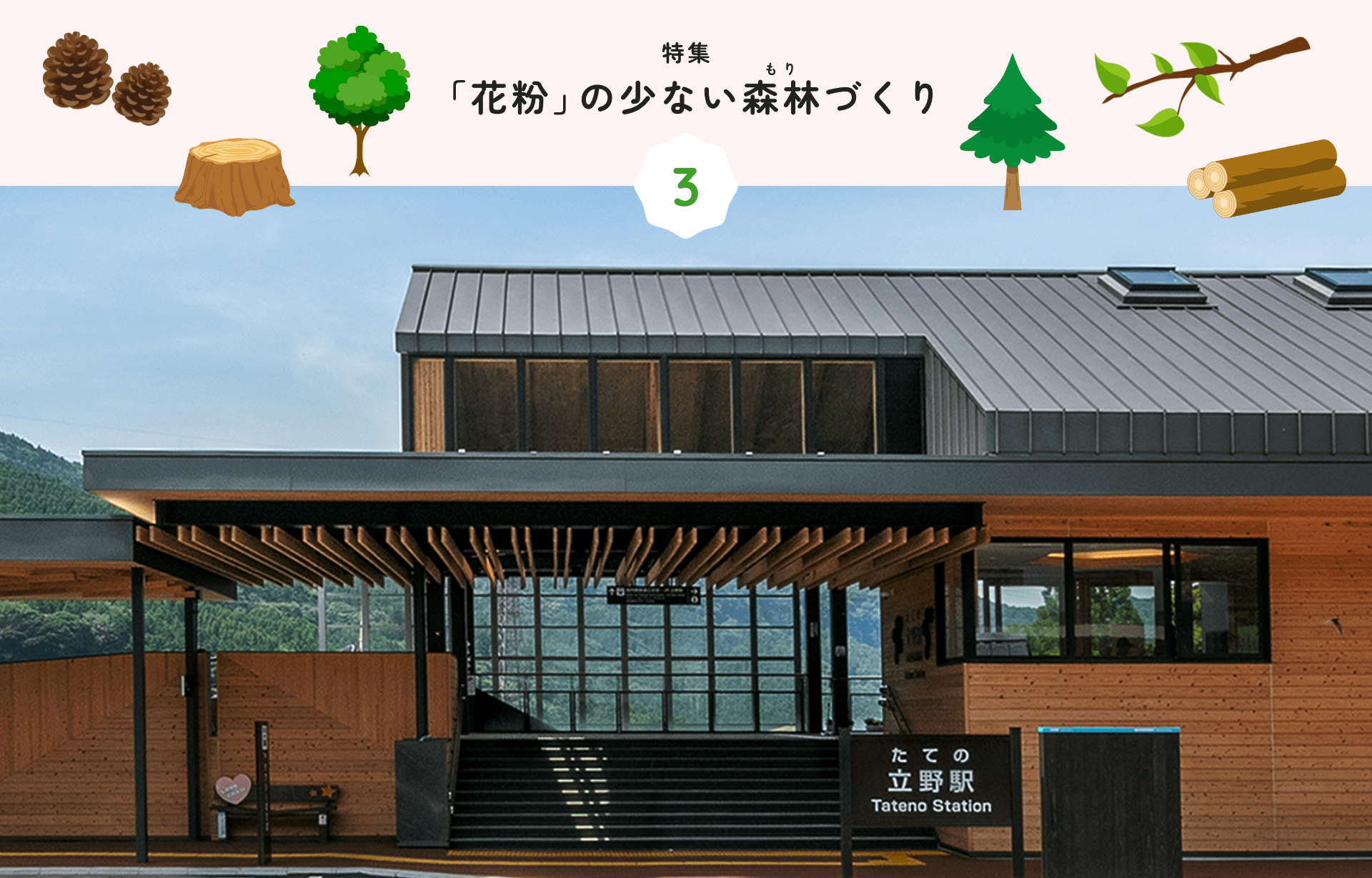 特集 1 「花粉」の少ない森林づくり