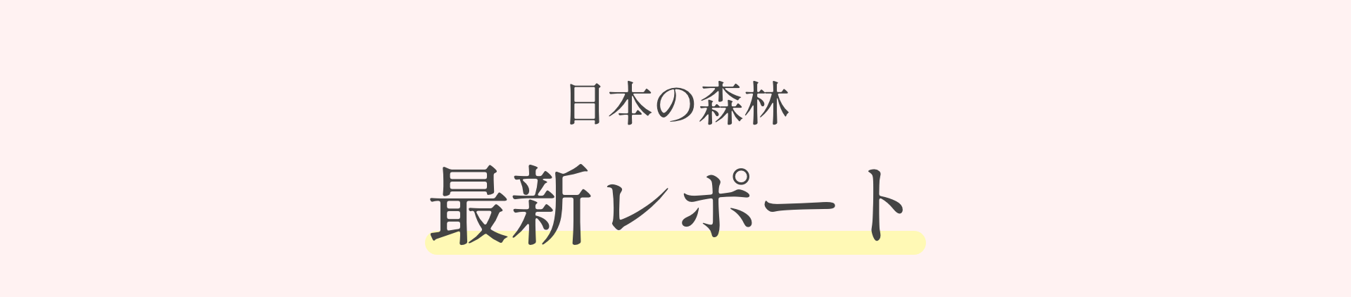 日本の森林最新レポート