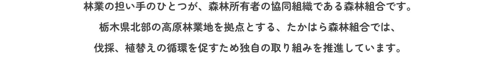 林業の担い手のひとつが、森林所有者の協同組織である森林組合です。栃木県北部の高原林業地を拠点とする、たかはら森林組合では、伐採、植替えの循環を促すため独自の取り組みを推進しています。