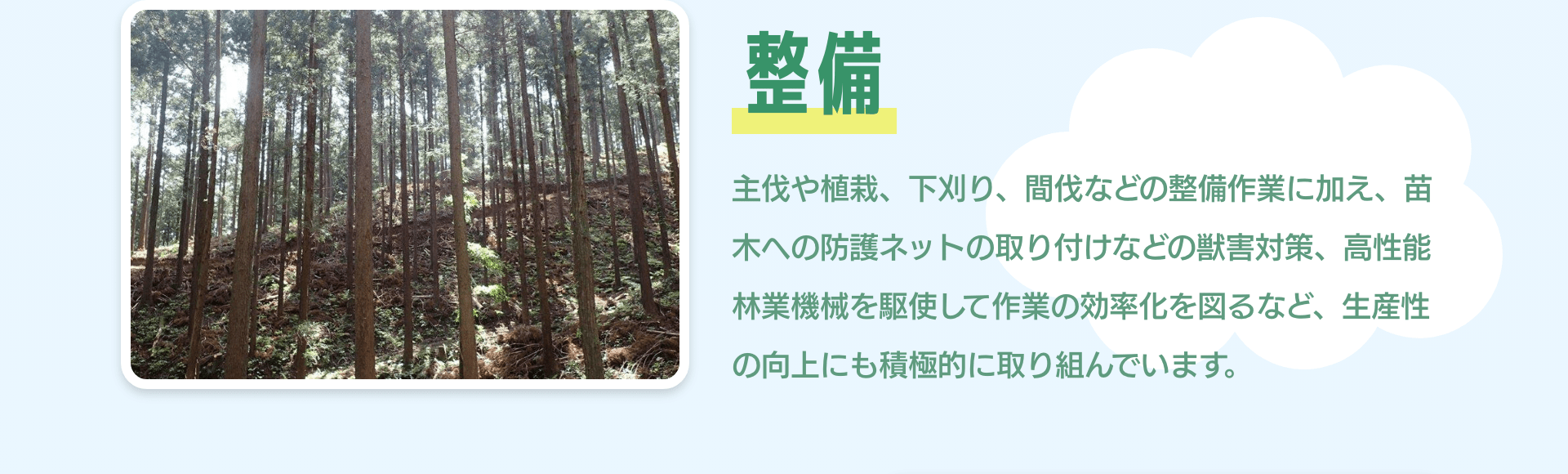 整備　主伐や植栽、下刈り、間伐などの整備作業に加え、苗木への防護ネットの取り付けなどの獣害対策、高性能林業機械を駆使して作業の効率化を図るなど、生産性の向上にも積極的に取り組んでいます。