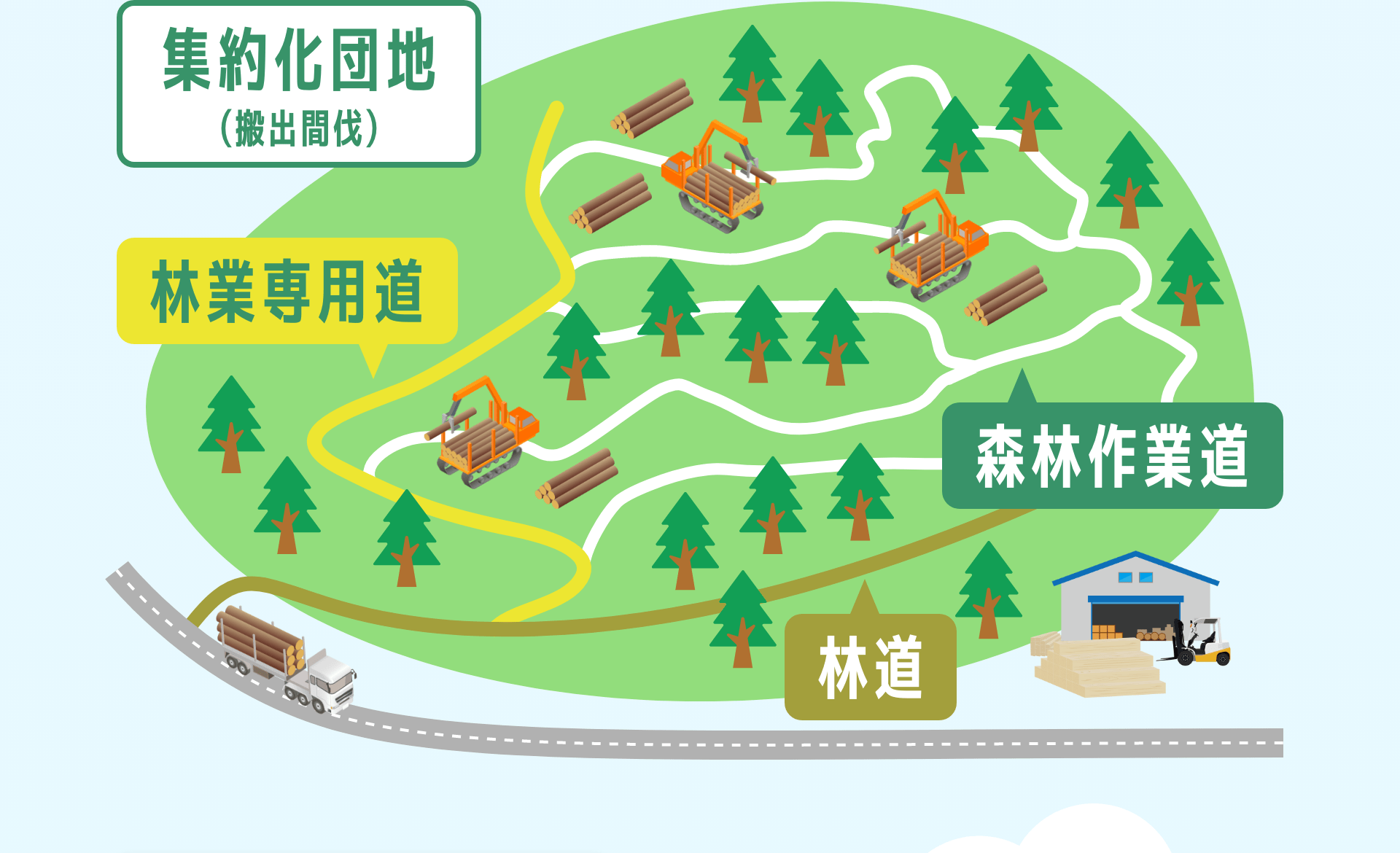 集約化団地（搬出間伐）　林業専用道　森林作業道　林道