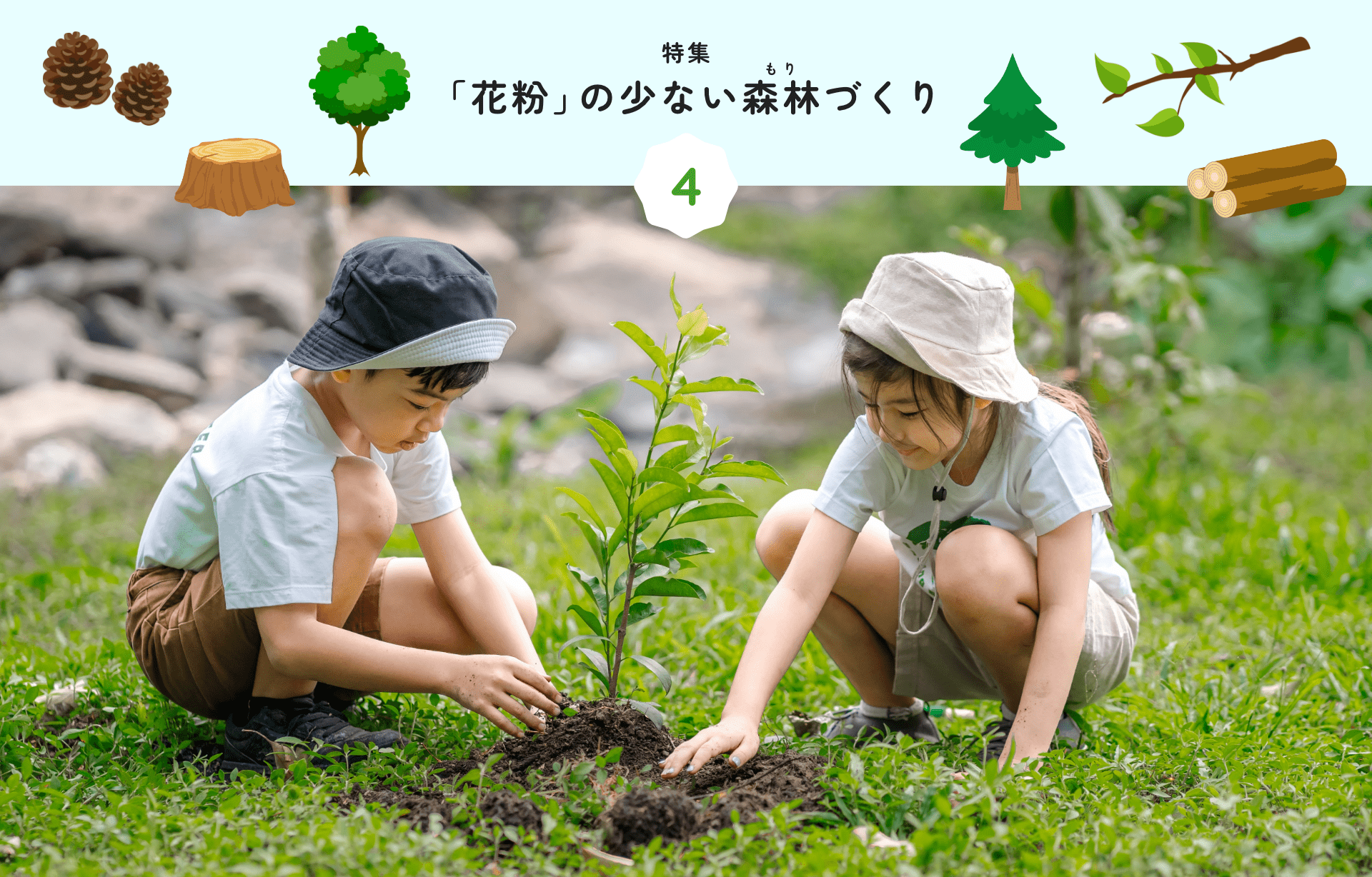 特集 1 「花粉」の少ない森林づくり