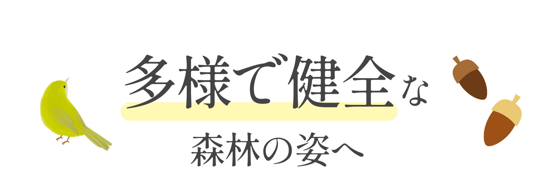多様で健全な森林の姿へ