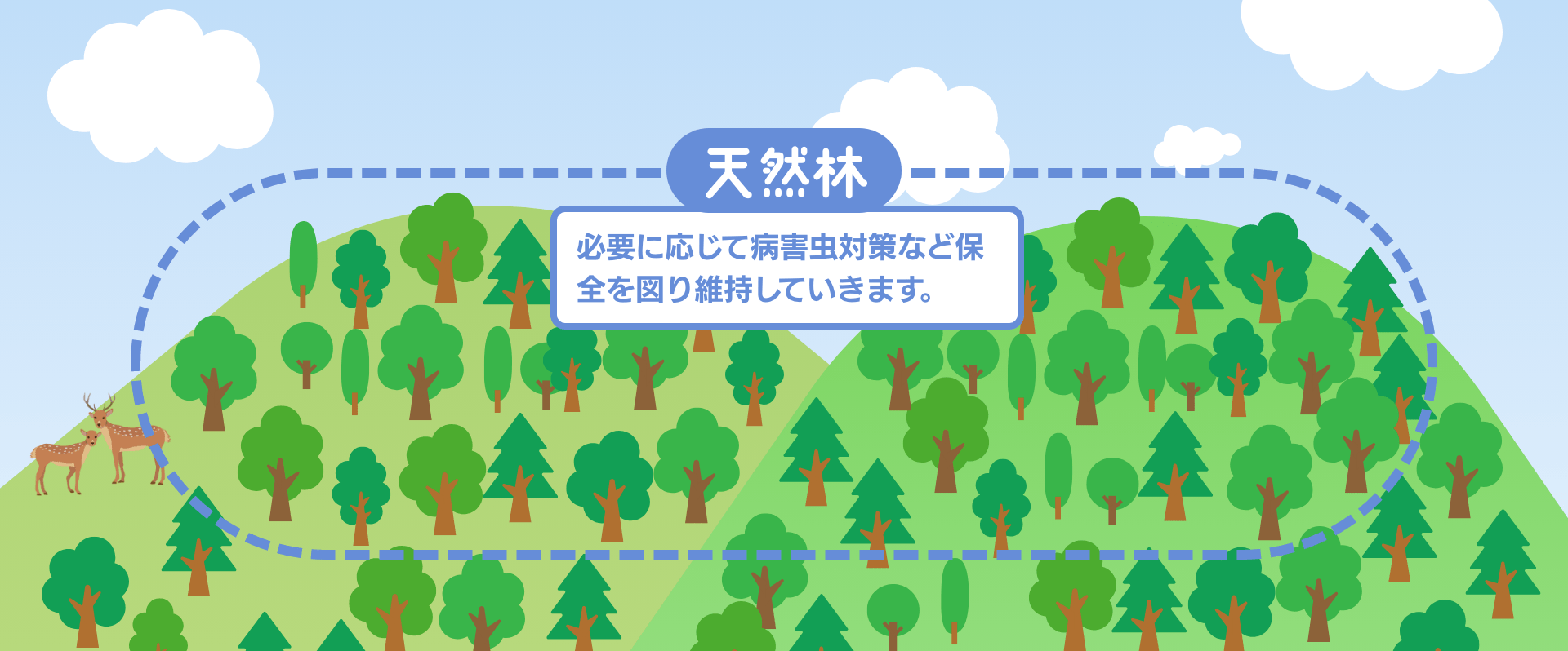 天然林　必要に応じて病害虫対策など保全を図り維持していきます。