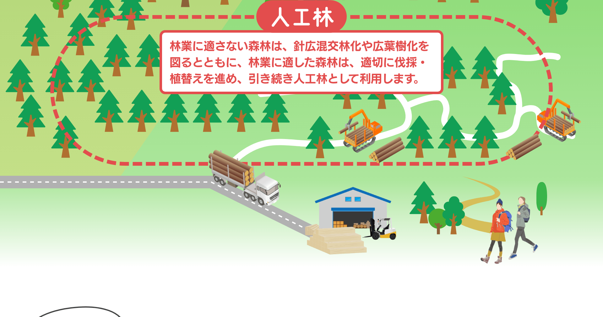 人工林　林業に適さない森林は、針広混交林化や広葉樹化を図るとともに、林業に適した森林は、適切に伐採・植替えを進め、引き続き人工林として利用します。