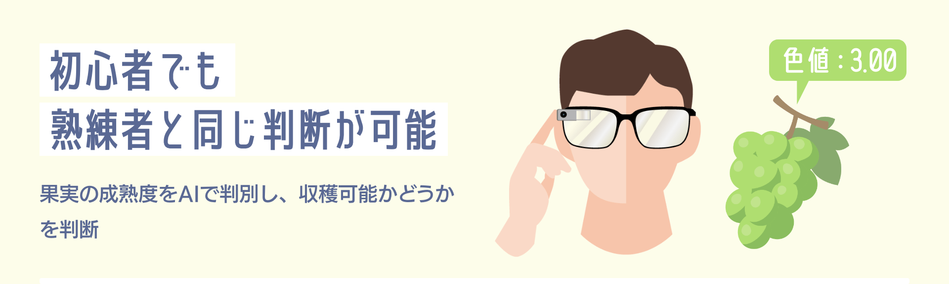 初心者でも熟練者と同じ判断が可能 果実の成熟度をAIで判別し、収穫可能かどうかを判断