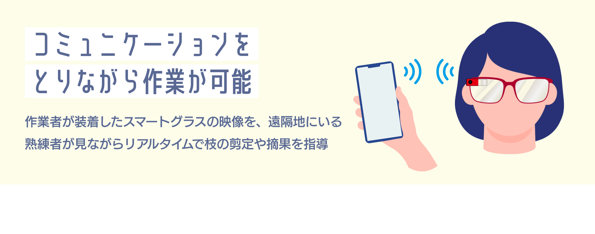 コミュニケーションをとりながら作業が可能 作業者が装着したスマートグラスの映像を、遠隔地にいる熟練者が見ながらリアルタイムで枝の剪定や摘果を指導
