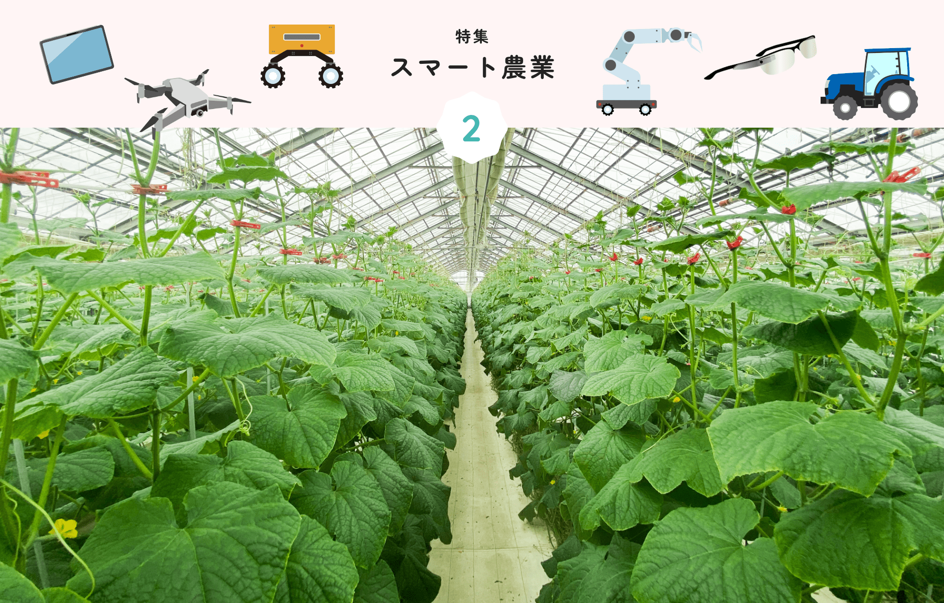 特集 2 スマート農業