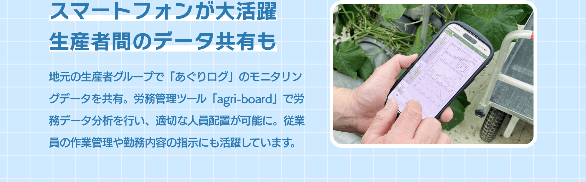 スマートフォンが大活躍生産者間のデータ共有も 地元の生産者グループで「あぐりログ」のモニタリングデータを共有。労務管理ツール「agri-board」で労務データ分析を行い、適切な人員配置が可能に。従業員の作業管理や勤務内容の指示にも活躍しています。