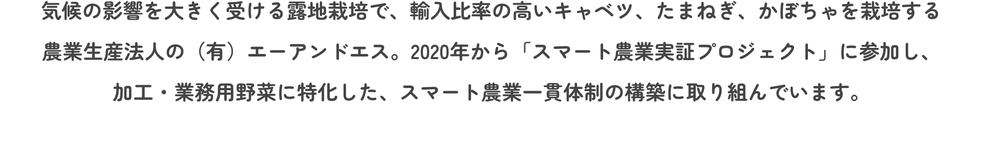 気候の影響を大きく受ける露地栽培で、輸入比率の高いキャベツ、たまねぎ、かぼちゃを栽培する農業生産法人の（有）エーアンドエス。2020年から「スマート農業実証プロジェクト」に参加し、加工・業務用野菜に特化した、スマート農業一貫体制の構築に取り組んでいます。