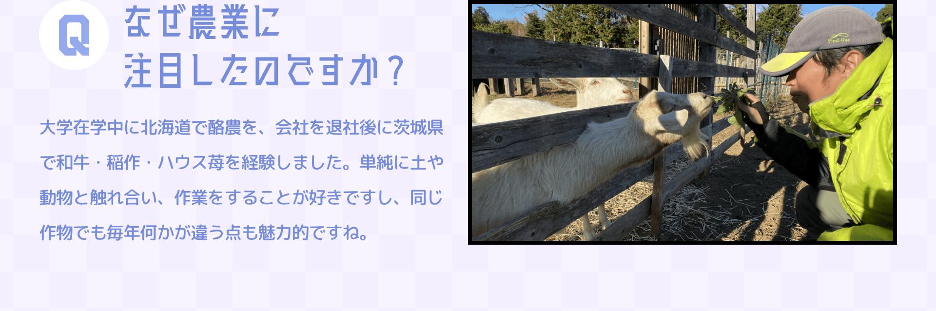 Qなぜ農業に注目したのですか？　大学在学中に北海道で酪農を、会社を退社後に茨城県で和牛・稲作・ハウス苺を経験しました。単純に土や動物と触れ合い、作業をすることが好きですし、同じ作物でも毎年何かが違う点も魅力的ですね。