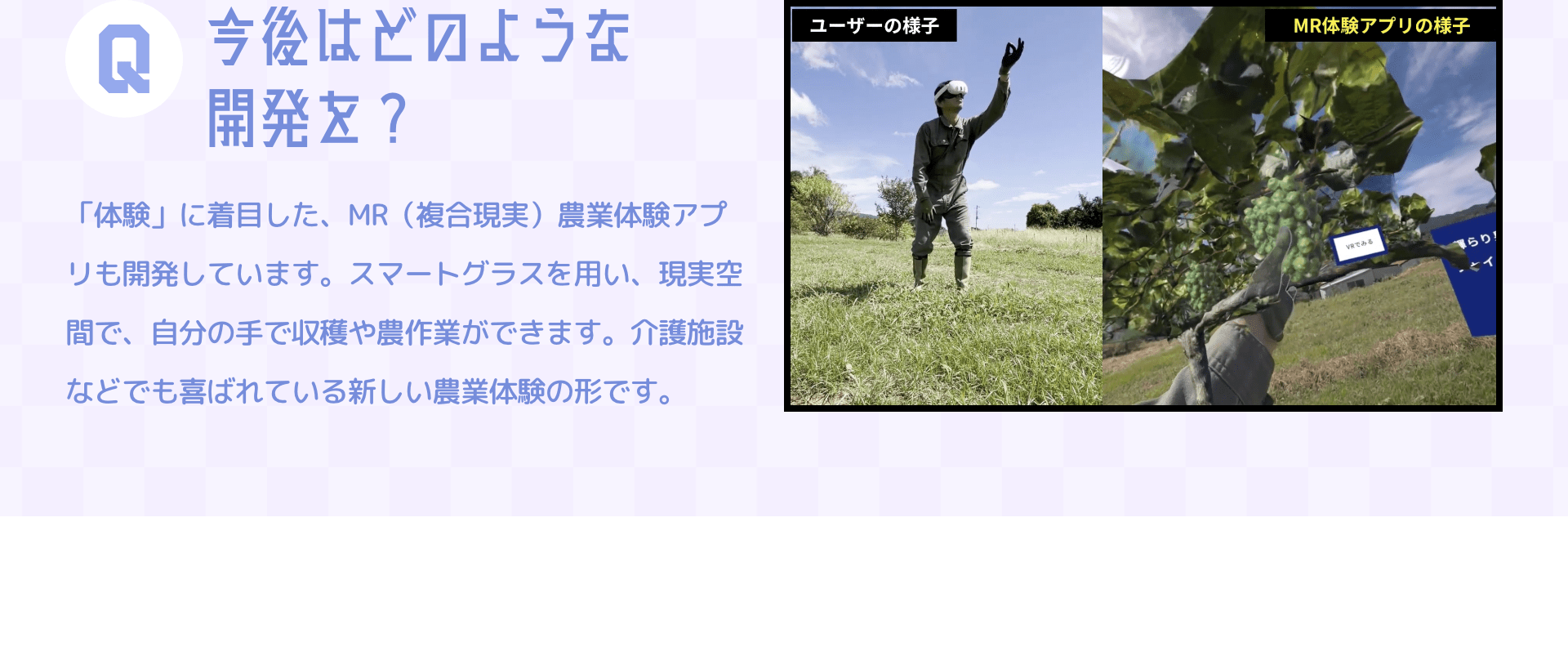 Q今後はどのような開発を？　「体験」に着目した、MR（複合現実）農業体験アプリも開発しています。スマートグラスを用い、現実空間で、自分の手で収穫や農作業ができます。介護施設などでも喜ばれている新しい農業体験の形です。
