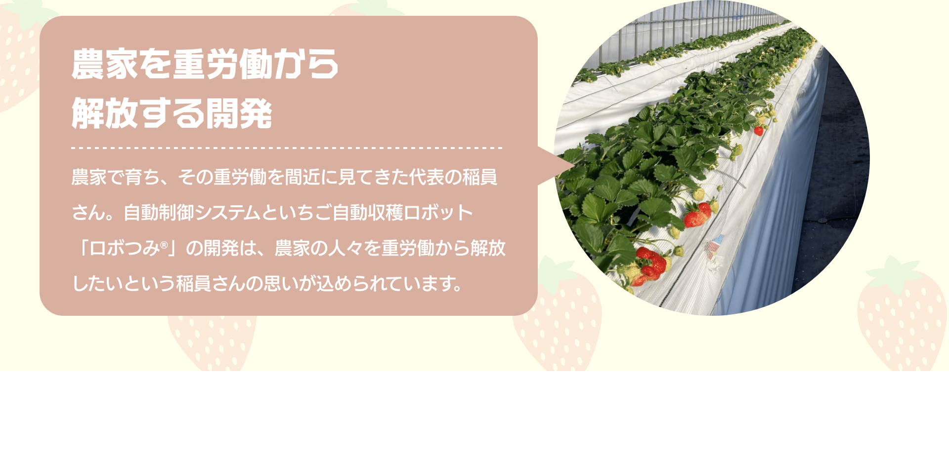 農家を重労働から解放する開発　農家で育ち、その重労働を間近に見てきた代表の稲員さん。自動制御システムといちご自動収穫ロボット「ロボつみ®︎」の開発は、農家の人々を重労働から解放したいという稲員さんの思いが込められています。