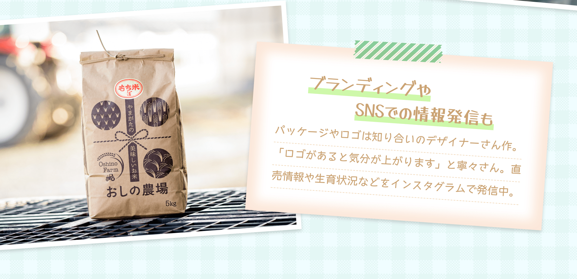 ブランディングやSNSでの情報発信も パッケージやロゴは知り合いのデザイナーさん作。「ロゴがあると気分が上がります」と寧々さん。直売情報や生育状況などをインスタグラムで発信中。