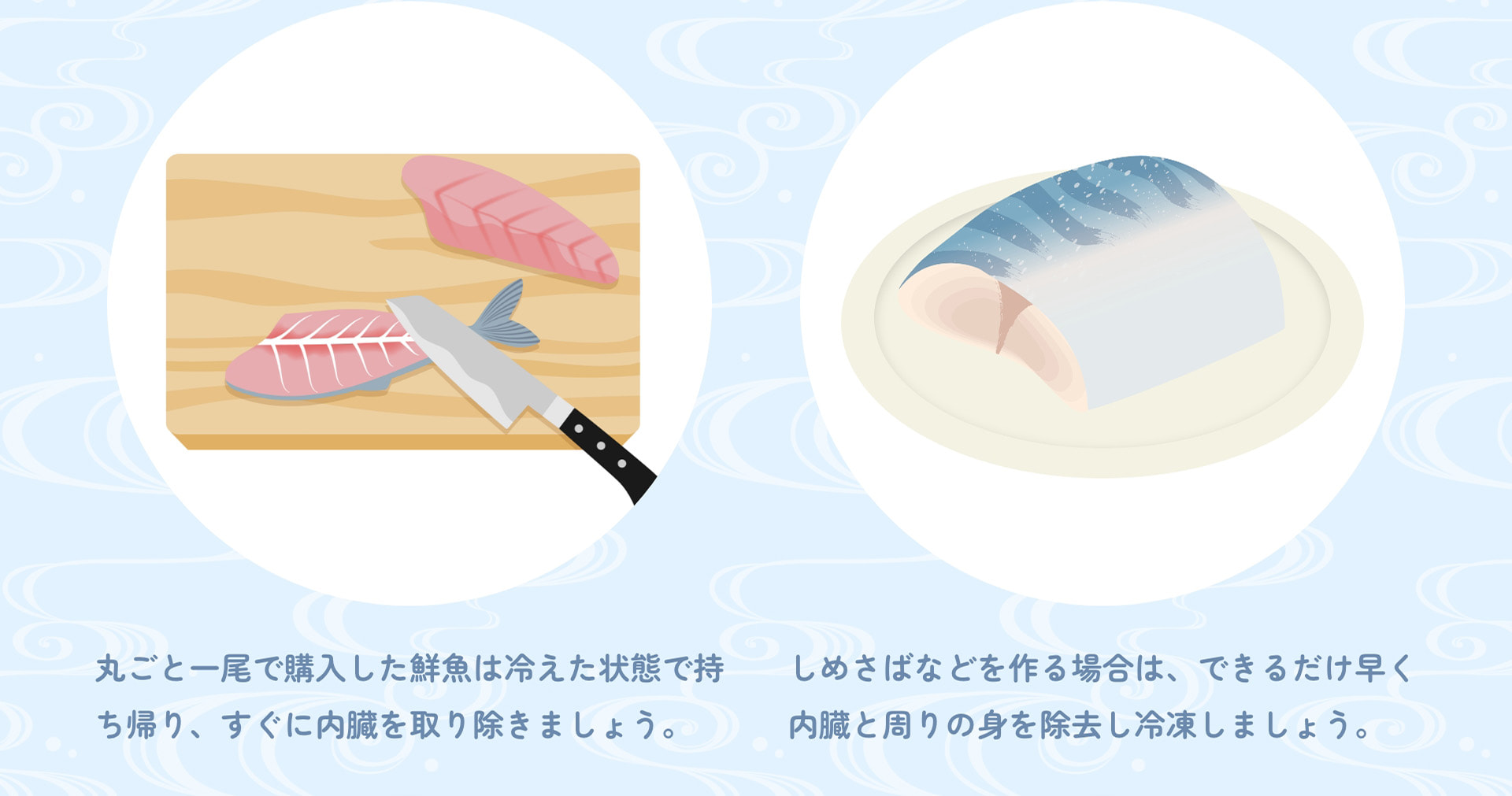丸ごと一尾で購入した鮮魚は冷えた状態で持ち帰り、すぐに内臓を取り除きましょう。 しめさばなどを作る場合は、できるだけ早く内臓と周りの身を除去し冷凍しましょう。