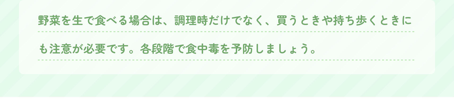 野菜を生で食べる場合は、調理時だけでなく、買うときや持ち歩くときにも注意が必要です。各段階で食中毒を予防しましょう。
