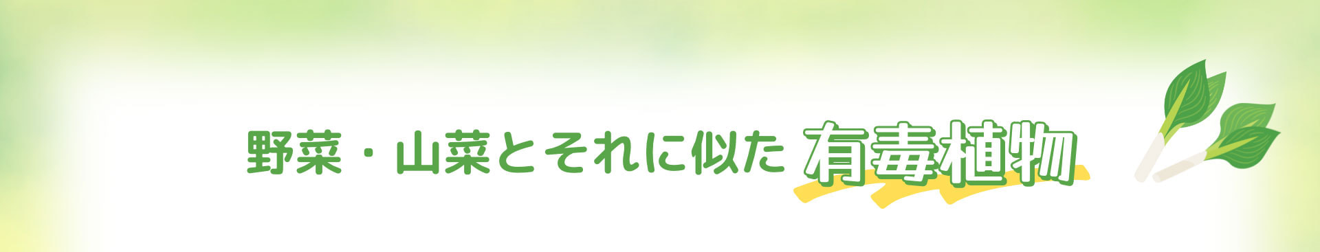 野菜・山菜とそれに似た有毒植物