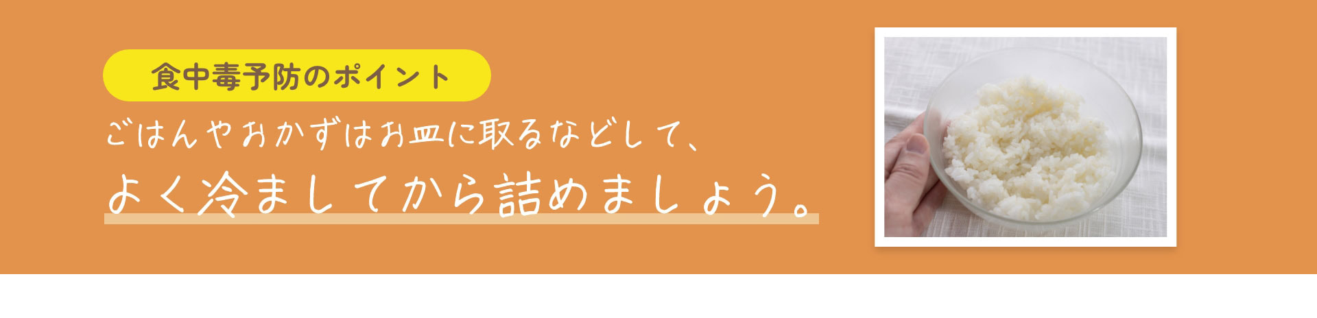 食中毒予防のポイント　ごはんやおかずはお皿に取るなどして、よく冷ましてから詰めましょう。