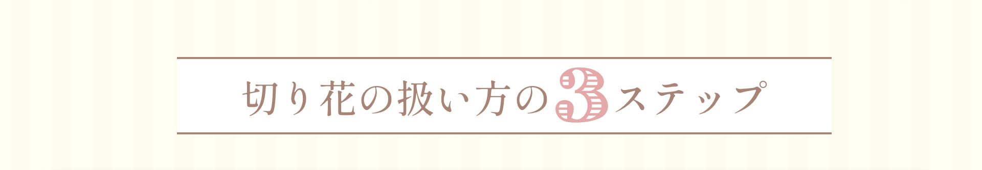 切り花の扱い方の3ステップ