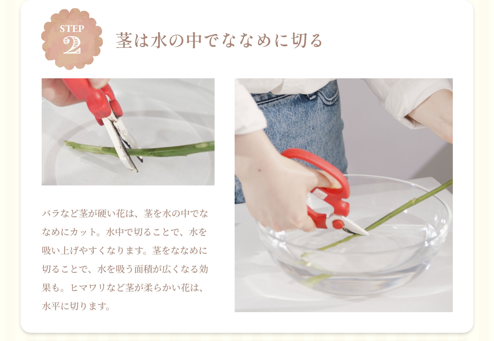 STEP2　茎は水の中でななめに切る　バラなど茎が硬い花は、茎を水の中でななめにカット。水中で切ることで、水を吸い上げやすくなります。茎をななめに切ることで、水を吸う面積が広くなる効果も。ヒマワリなど茎が柔らかい花は、水平に切ります。