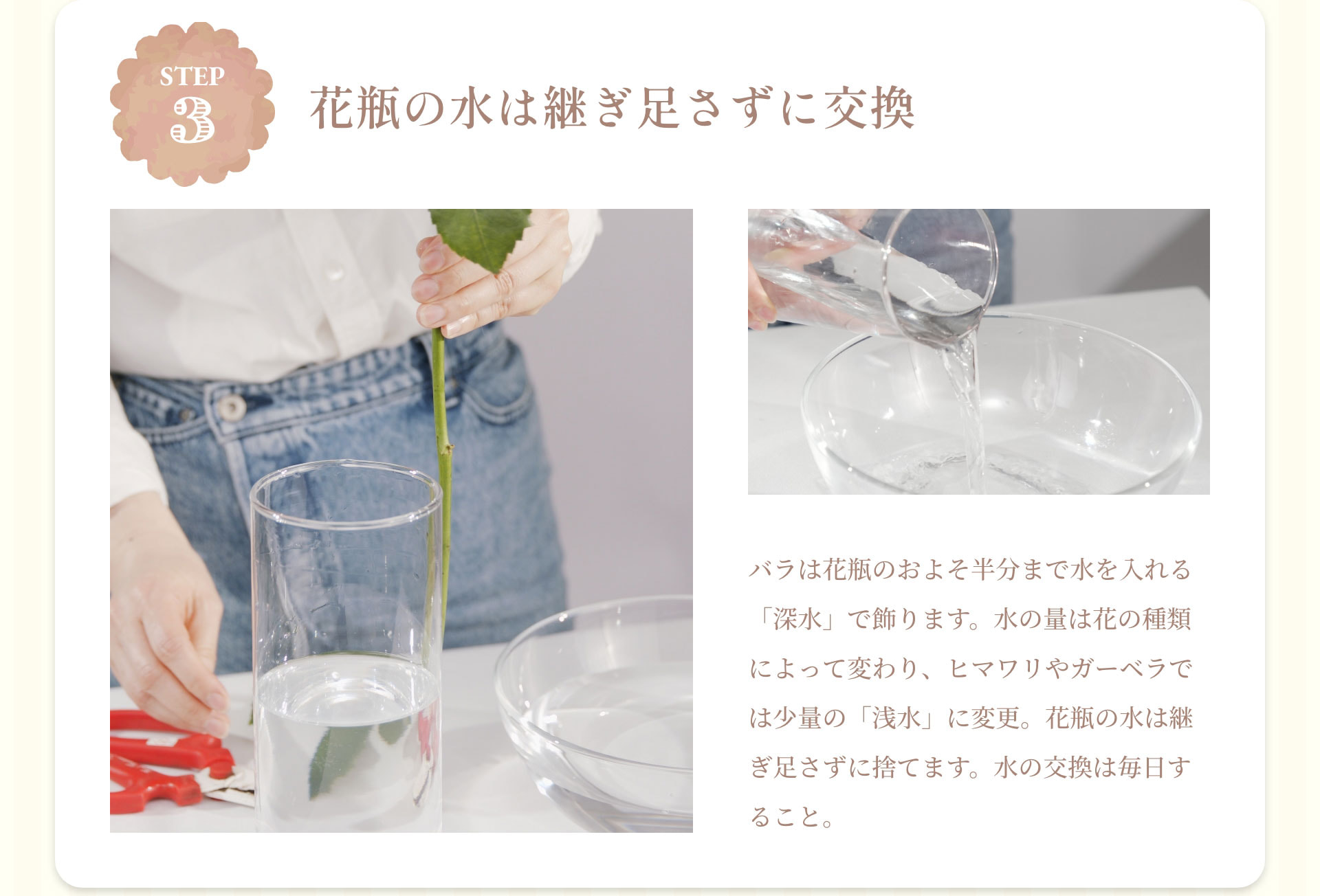 STEP3　花瓶の水は継ぎ足さずに交換　バラは花瓶のおよそ半分まで水を入れる「深水」で飾ります。水の量は花の種類によって変わり、ヒマワリやガーベラでは少量の「浅水」に変更。花瓶の水は継ぎ足さずに捨てます。水の交換は毎日すること。