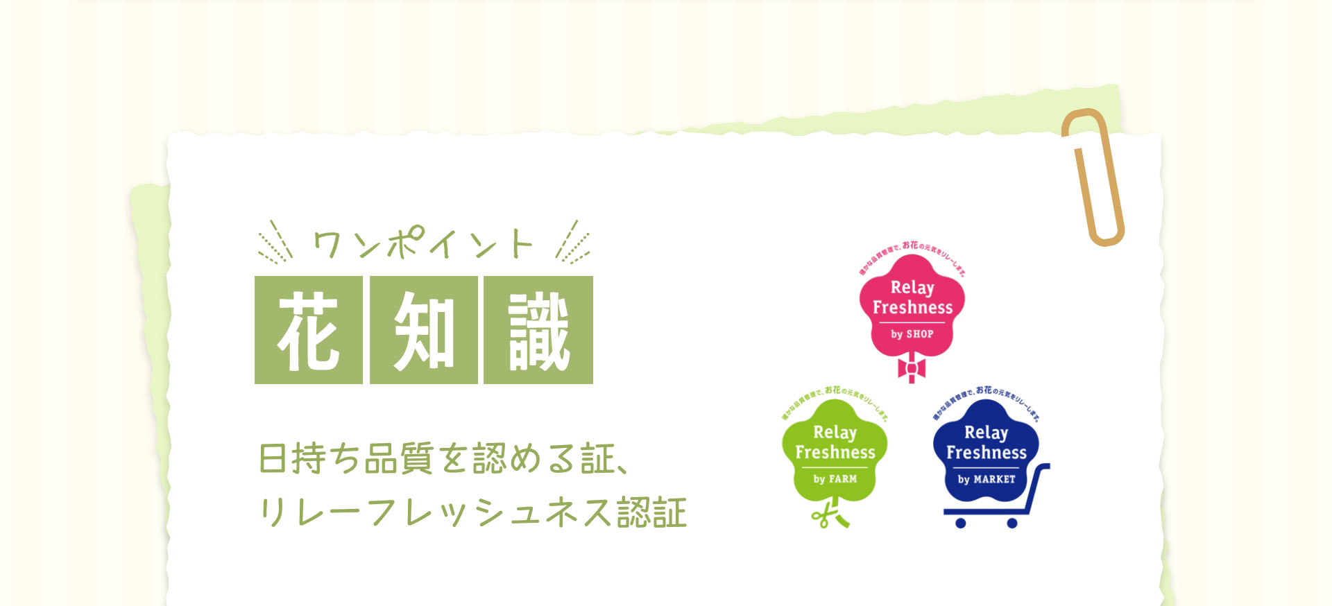 ワンポイント花知識　日持ち品質を認める証、リレーフレッシュネス認証