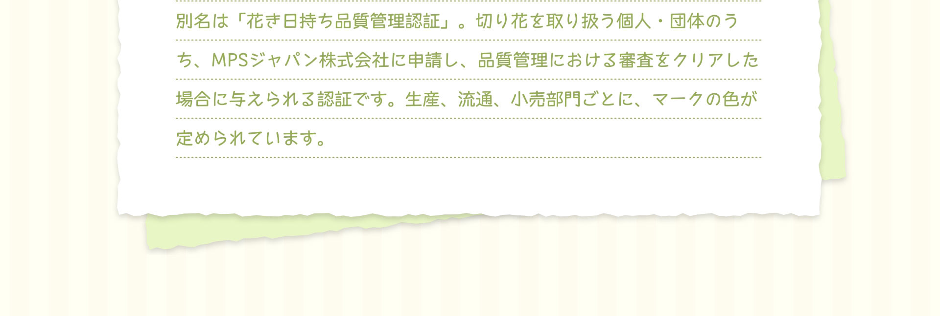 別名は「花き日持ち品質管理認証」。切り花を取り扱う個人・団体のうち、MPSジャパン株式会社に申請し、品質管理における審査をクリアした場合に与えられる認証です。生産、流通、小売部門ごとに、マークの色が定められています。