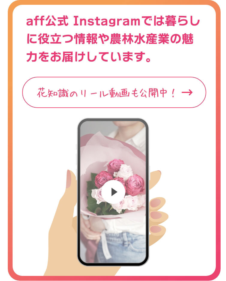 aff公式 Instagramでは暮らしに役立つ情報や農林水産業の魅力をお届けしています。花知識のリール動画も公開中！　https://www.instagram.com/aff_maffjapan/